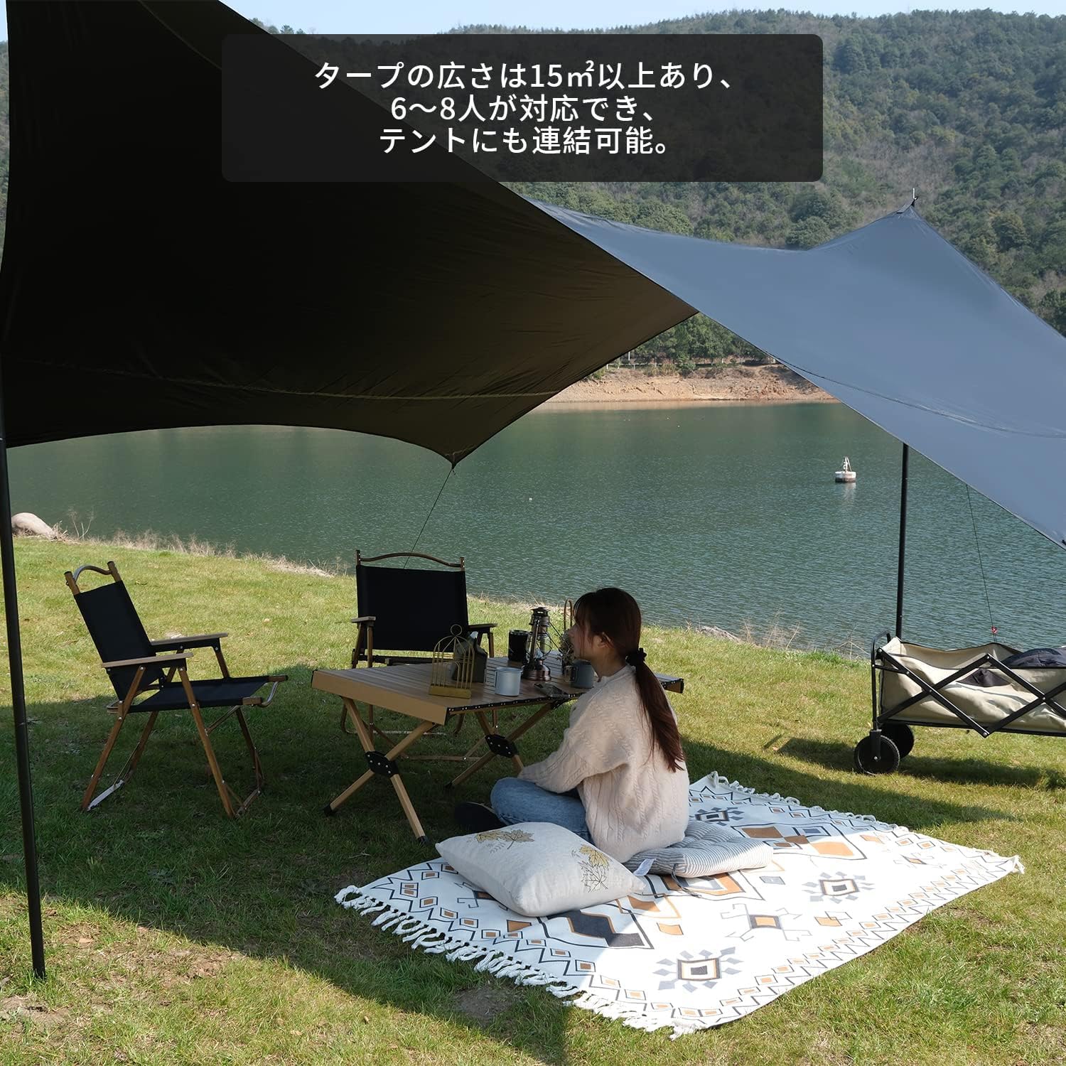 Amazon.co.jp: Tenplay Hexa Tarp Waterproof Tarp with Poles Dark